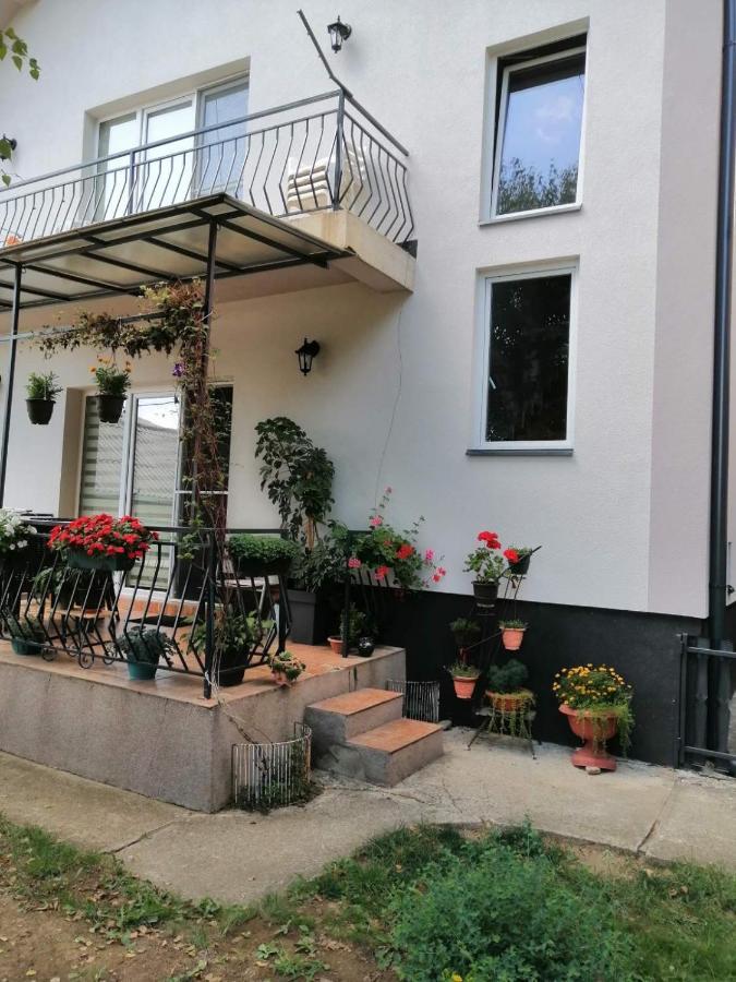 Apartment Mihajlovic Vranje Exterior photo